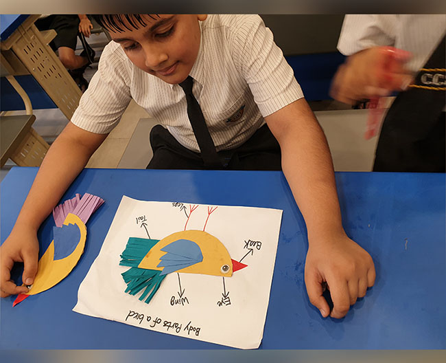 Grade 3 A Science Activity