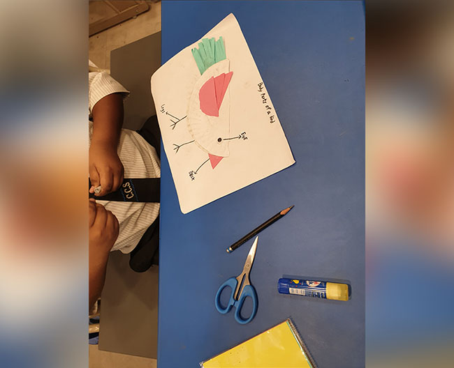 Grade 3 A Science Activity
