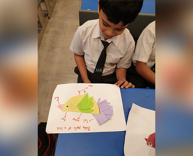 Grade 3 A Science Activity