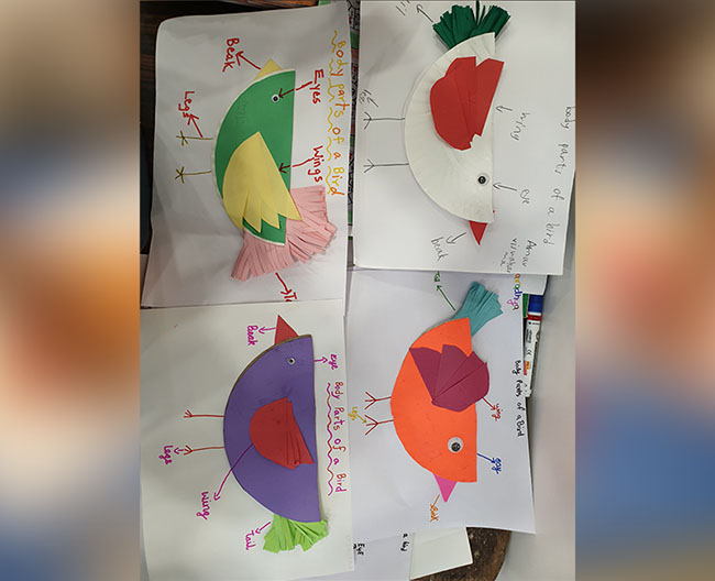 Grade 3 A Science Activity