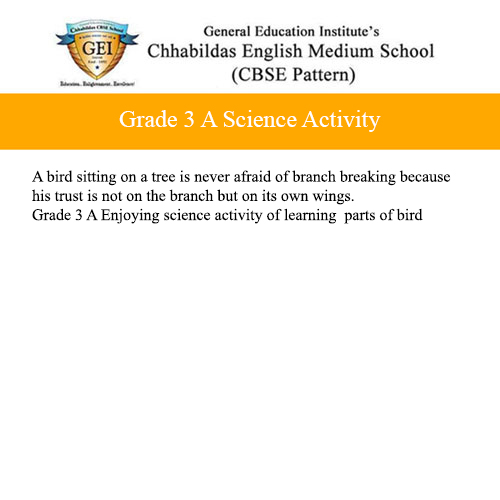 Grade 3 A Science Activity