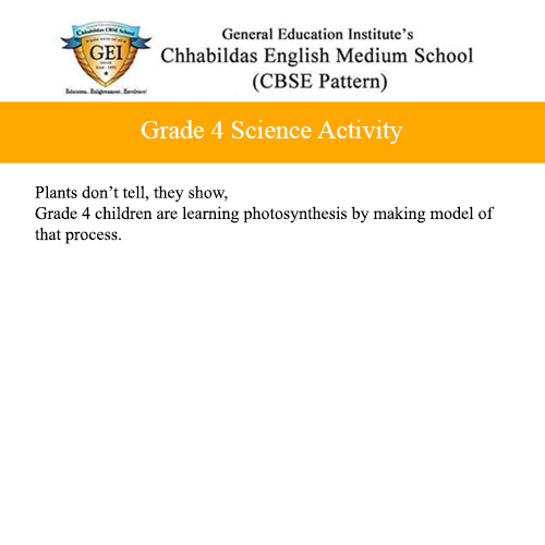 Grade 4 Science Activity