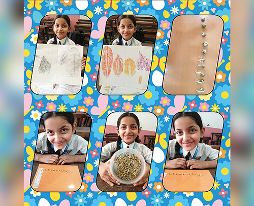 Grade 6 Science acitivity.