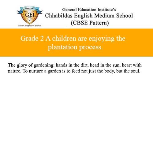 Plant growing Activity of Grade 2 A