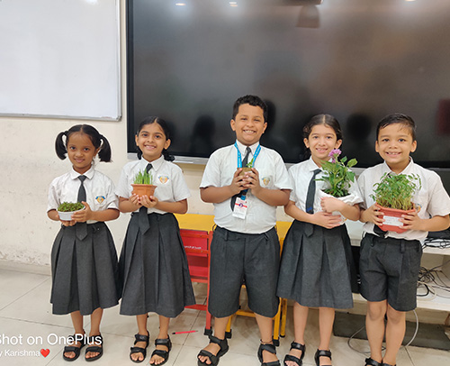 Plant growing Activity of Grade 2 A