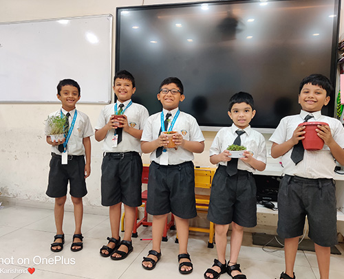 Plant growing Activity of Grade 2 A