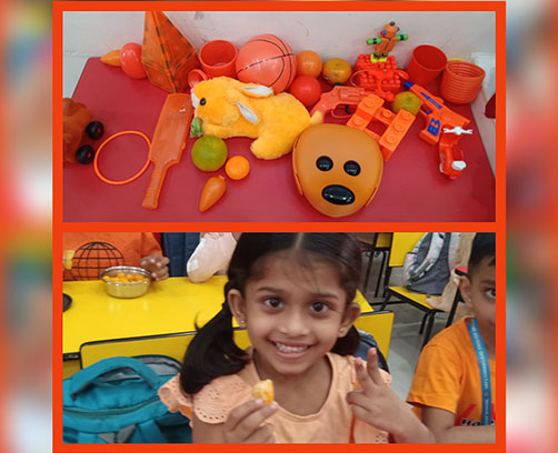 Orange Day Celebration 