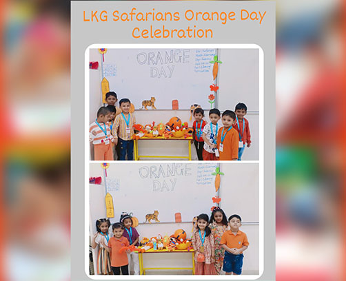 Orange Day Celebration 