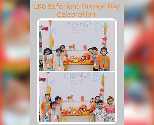 Orange Day Celebration 